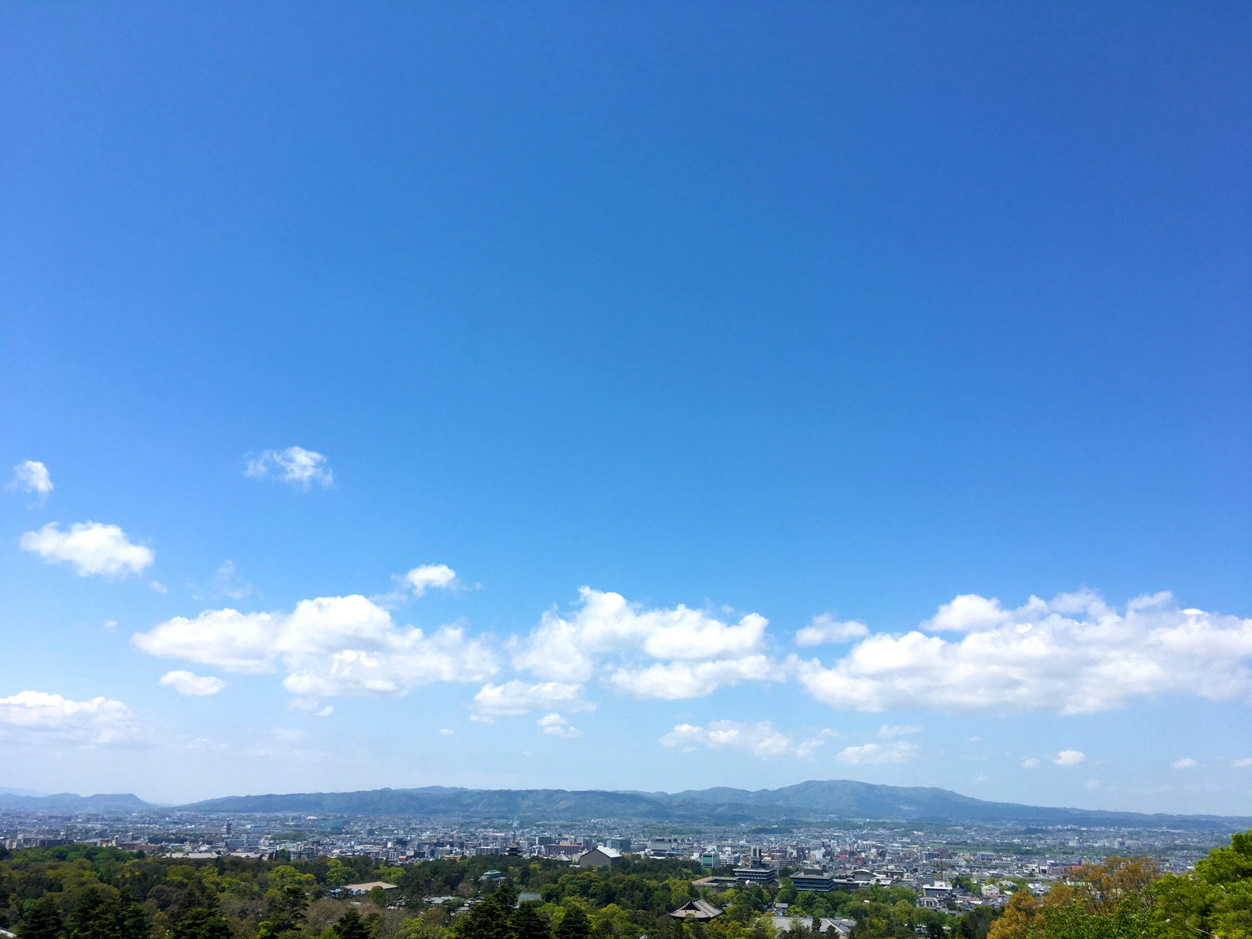 設立四十周年記念特別講演会・祝賀会のご報告